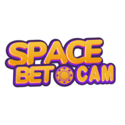 is there a sudoku app without ads
